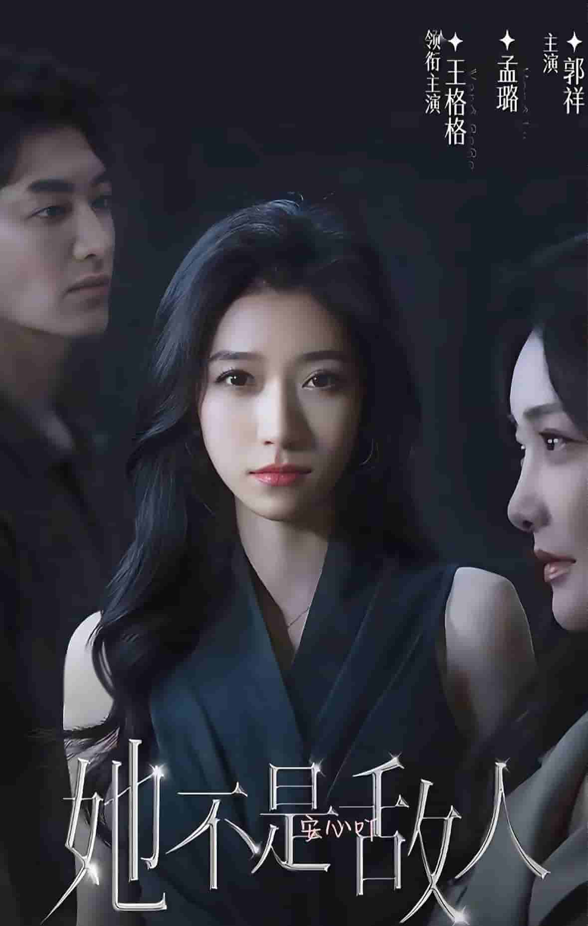 她不是敌人(全集)