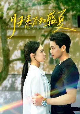 归来不知盛夏(全集)