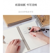 齐心 C4162 纯时代双螺旋装订本 A5 60张